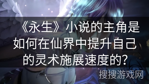 《永生》小说的主角是如何在仙界中提升自己的灵术施展速度的？