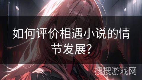 如何评价相遇小说的情节发展？