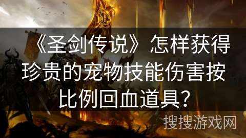 《圣剑传说》怎样获得珍贵的宠物技能伤害按比例回血道具？