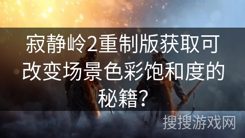 寂静岭2重制版获取可改变场景色彩饱和度的秘籍？