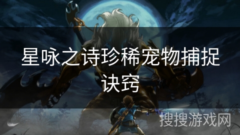 星咏之诗珍稀宠物捕捉诀窍