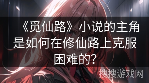 《觅仙路》小说的主角是如何在修仙路上克服困难的？
