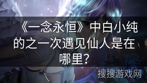 《一念永恒》中白小纯的之一次遇见仙人是在哪里？