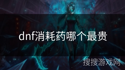 dnf消耗药哪个最贵