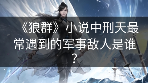 《狼群》小说中刑天最常遇到的军事敌人是谁？