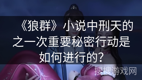 《狼群》小说中刑天的之一次重要秘密行动是如何进行的？