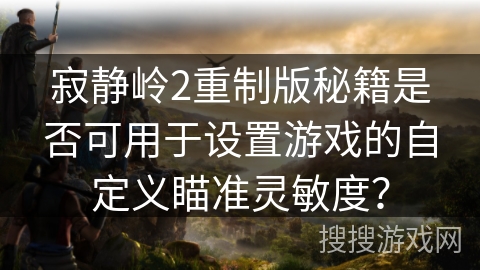 寂静岭2重制版秘籍是否可用于设置游戏的自定义瞄准灵敏度？