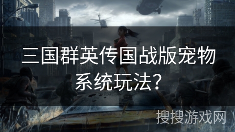 三国群英传国战版宠物系统玩法？