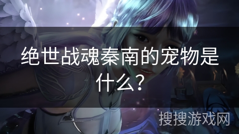 绝世战魂秦南的宠物是什么？