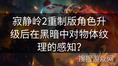 寂静岭2重制版角色升级后在黑暗中对物体纹理的感知？