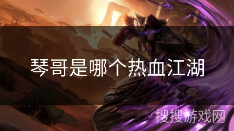 琴哥是哪个热血江湖