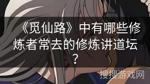 《觅仙路》中有哪些修炼者常去的修炼讲道坛？
