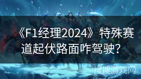 《F1经理2024》特殊赛道起伏路面咋驾驶？