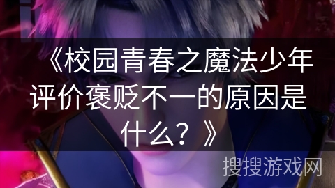 《校园青春之魔法少年评价褒贬不一的原因是什么？》