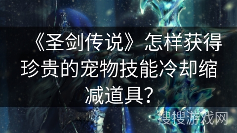 《圣剑传说》怎样获得珍贵的宠物技能冷却缩减道具？