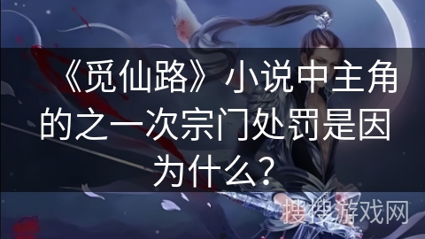 《觅仙路》小说中主角的之一次宗门处罚是因为什么？