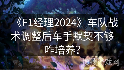 《F1经理2024》车队战术调整后车手默契不够咋培养？