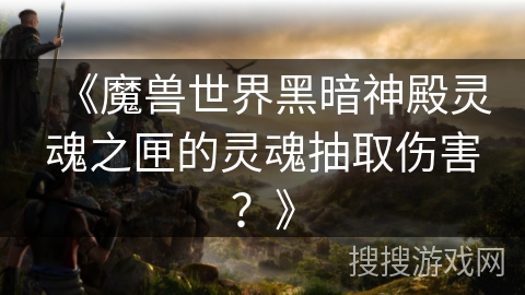 《魔兽世界黑暗神殿灵魂之匣的灵魂抽取伤害？》