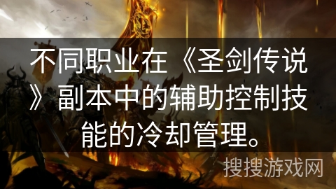不同职业在《圣剑传说》副本中的辅助控制技能的冷却管理。