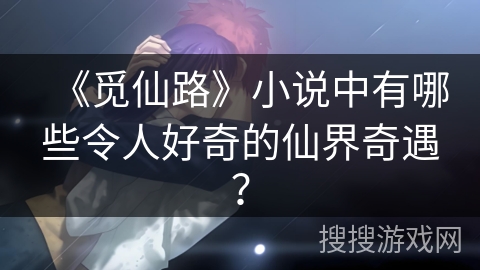 《觅仙路》小说中有哪些令人好奇的仙界奇遇？