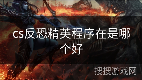 cs反恐精英程序在是哪个好