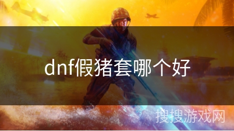 dnf假猪套哪个好