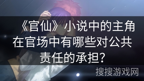 《官仙》小说中的主角在官场中有哪些对公共责任的承担？