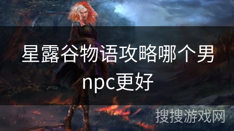 星露谷物语攻略哪个男npc更好