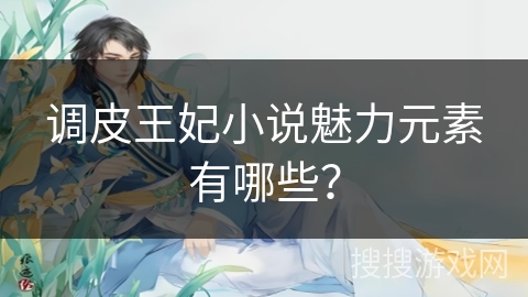 调皮王妃小说魅力元素有哪些？