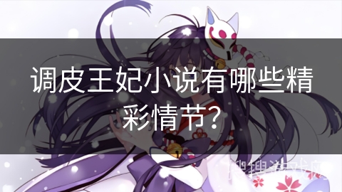 调皮王妃小说有哪些精彩情节？