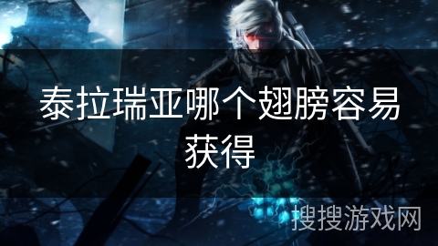 泰拉瑞亚哪个翅膀容易获得