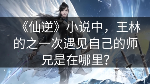 《仙逆》小说中，王林的之一次遇见自己的师兄是在哪里？