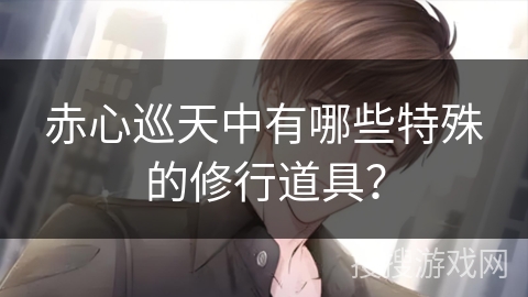 赤心巡天中有哪些特殊的修行道具？