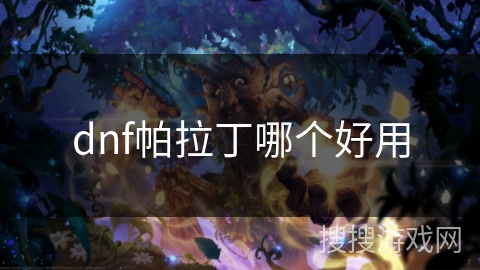 dnf帕拉丁哪个好用