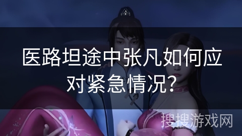 医路坦途中张凡如何应对紧急情况？