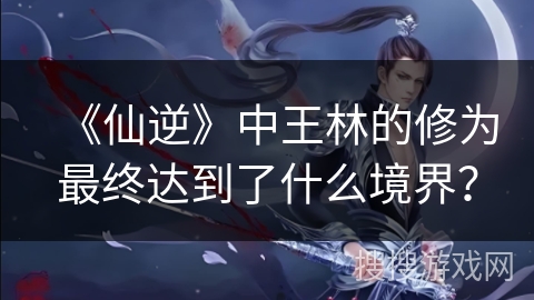 《仙逆》中王林的修为最终达到了什么境界？