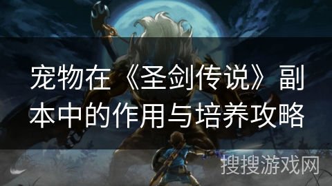 宠物在《圣剑传说》副本中的作用与培养攻略