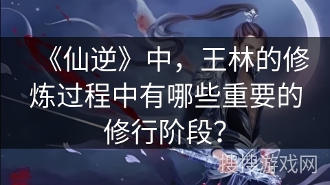 《仙逆》中，王林的修炼过程中有哪些重要的修行阶段？