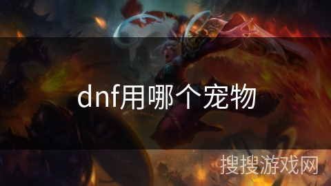 dnf用哪个宠物