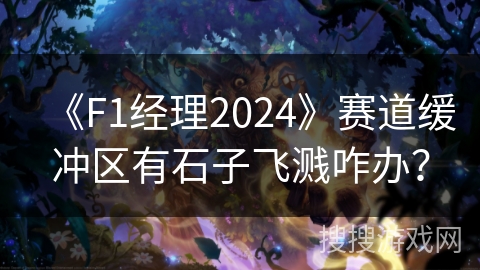 《F1经理2024》赛道缓冲区有石子飞溅咋办？