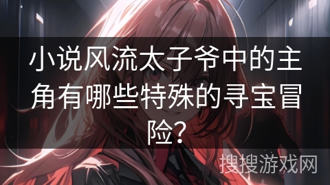 小说风流太子爷中的主角有哪些特殊的寻宝冒险？