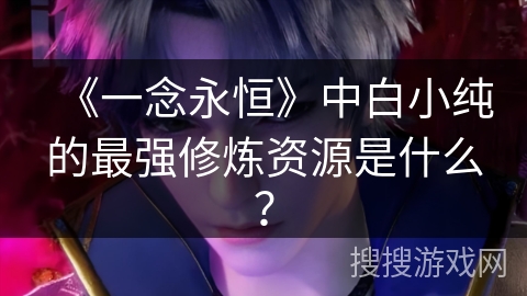 《一念永恒》中白小纯的最强修炼资源是什么？