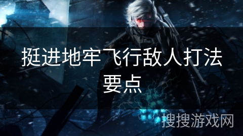 挺进地牢飞行敌人打法要点