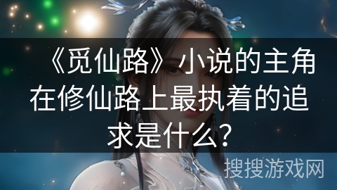 《觅仙路》小说的主角在修仙路上最执着的追求是什么？