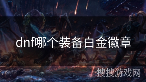 dnf哪个装备白金徽章