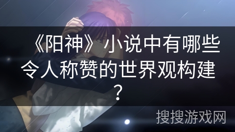 《阳神》小说中有哪些令人称赞的世界观构建？