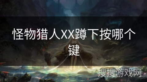 怪物猎人XX蹲下按哪个键