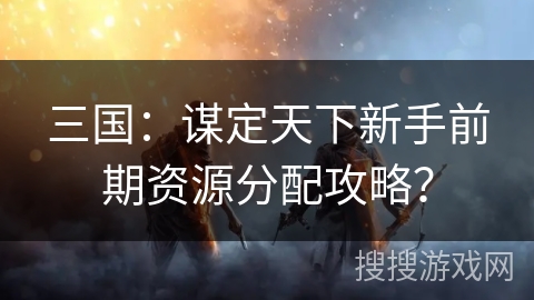 三国：谋定天下新手前期资源分配攻略？
