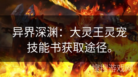 异界深渊：大灵王灵宠技能书获取途径。