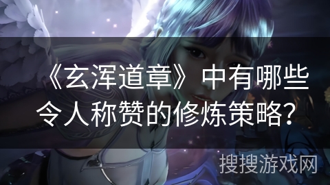 《玄浑道章》中有哪些令人称赞的修炼策略？